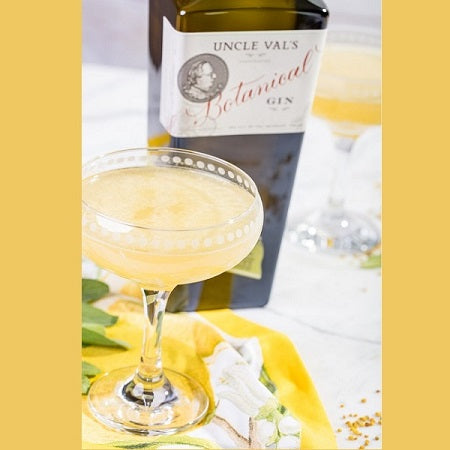 Bee’s Knees Gin Cocktail