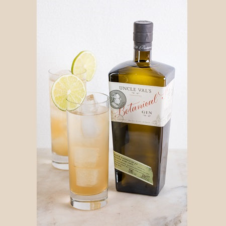 Not Your Dad’s Gin & Tonic Cocktail